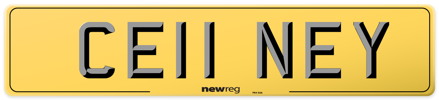 CE11 NEY Rear Number Plate
