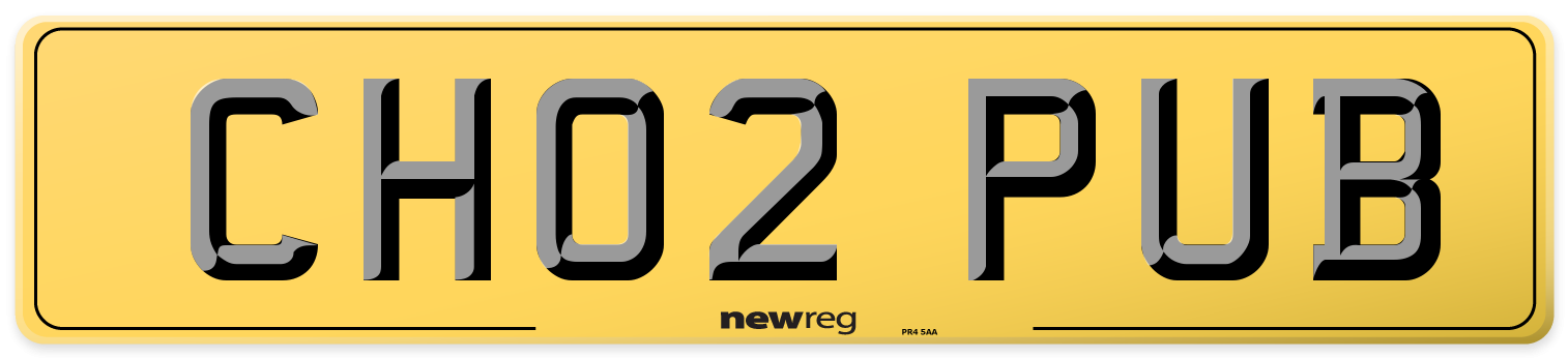 CH02 PUB Rear Number Plate