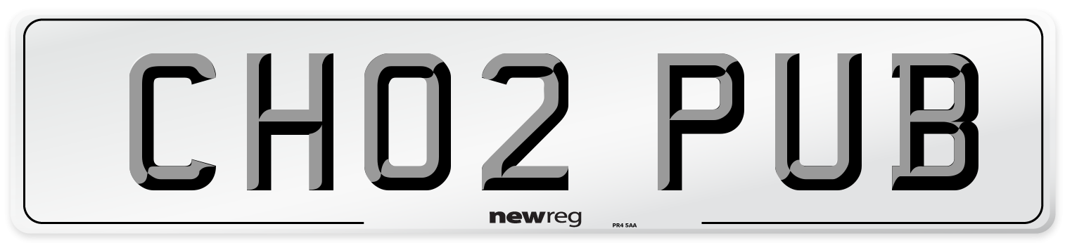 CH02 PUB Front Number Plate
