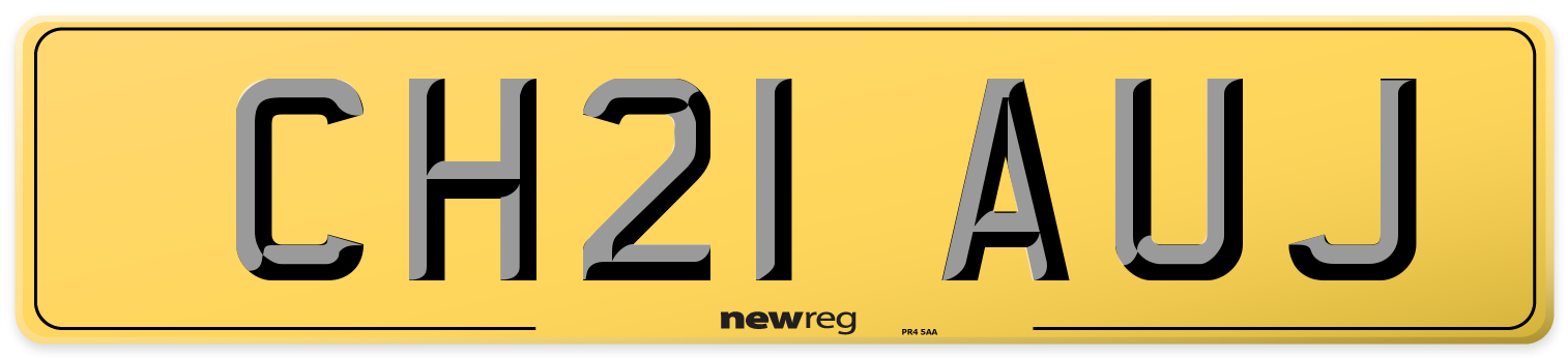 CH21 AUJ Rear Number Plate
