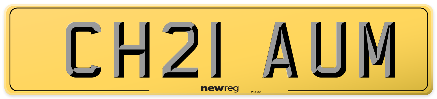 CH21 AUM Rear Number Plate