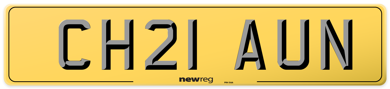 CH21 AUN Rear Number Plate