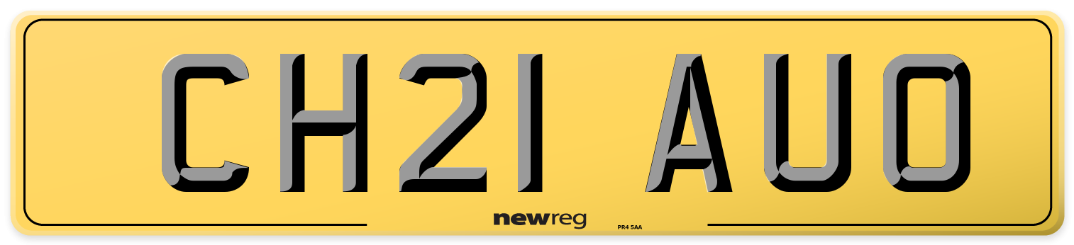 CH21 AUO Rear Number Plate
