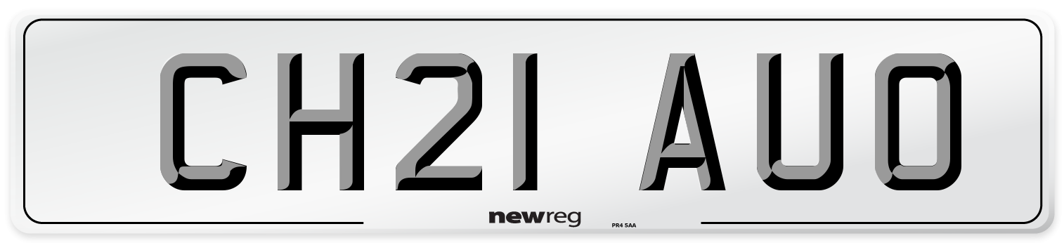 CH21 AUO Front Number Plate