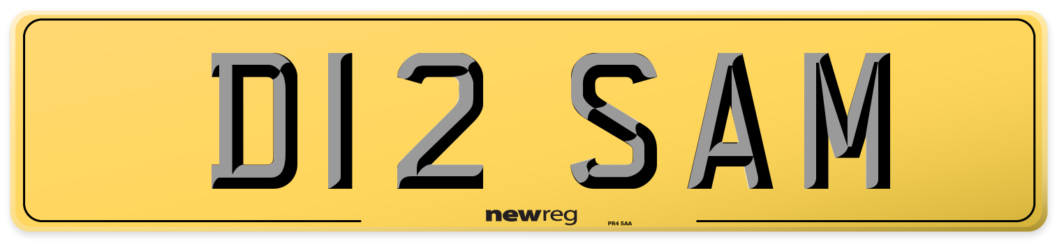 D12 SAM Rear Number Plate