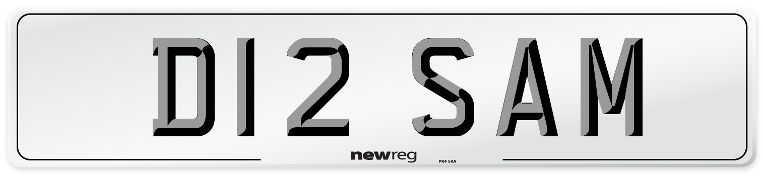D12 SAM Front Number Plate