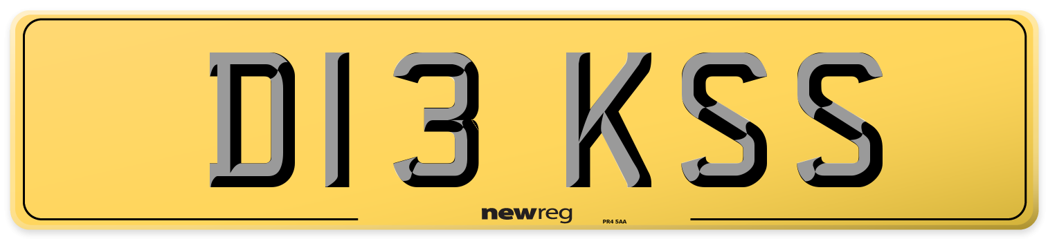 D13 KSS Rear Number Plate