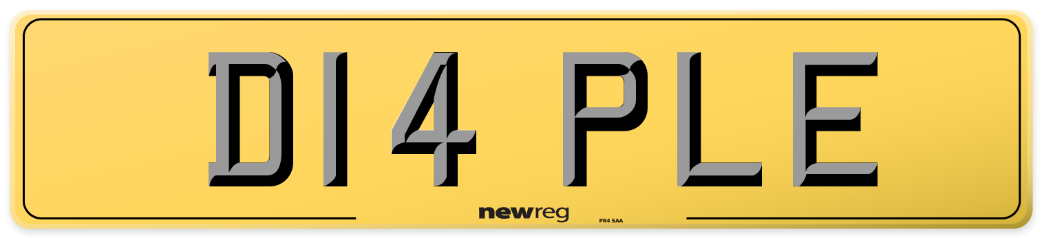 D14 PLE Rear Number Plate