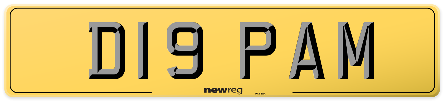 D19 PAM Rear Number Plate