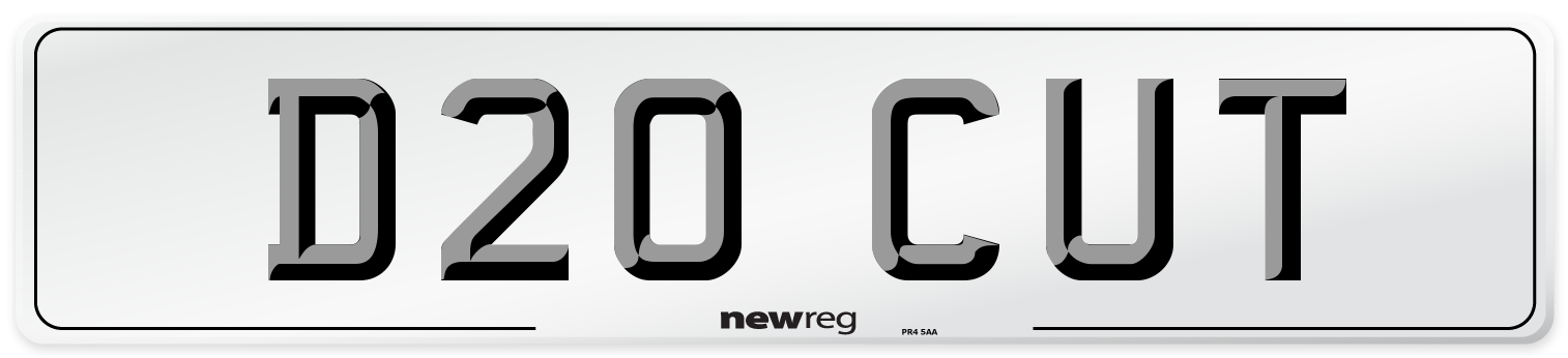 D20 CUT Front Number Plate