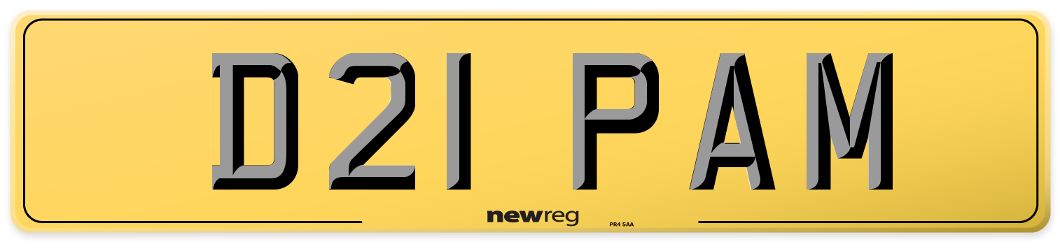 D21 PAM Rear Number Plate