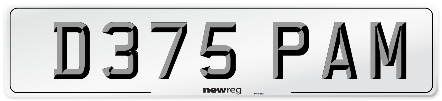 D375 PAM Front Number Plate