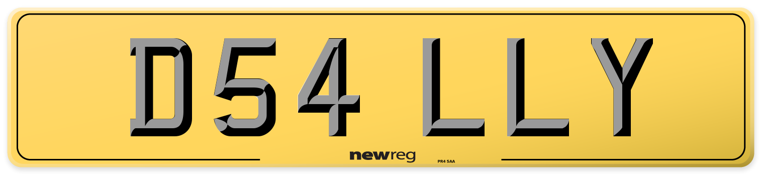 D54 LLY Rear Number Plate