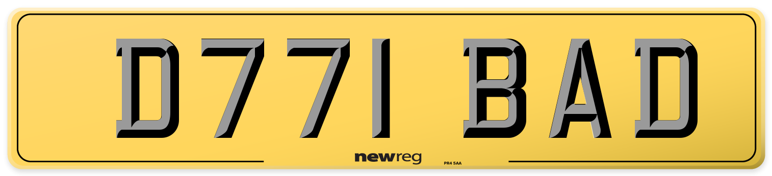 D771 BAD Rear Number Plate
