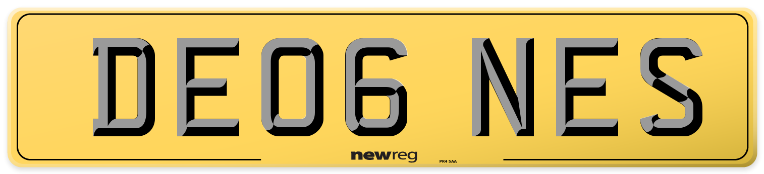 DE06 NES Rear Number Plate