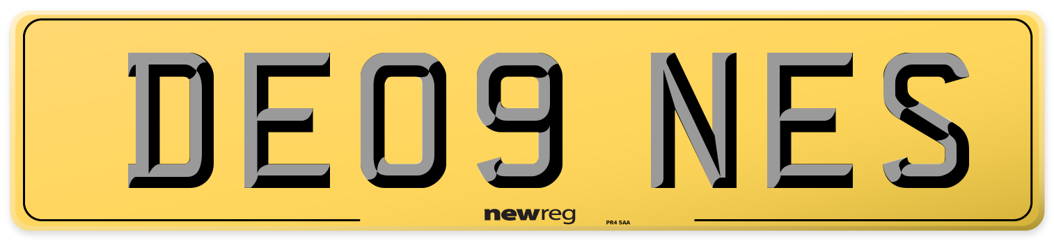 DE09 NES Rear Number Plate
