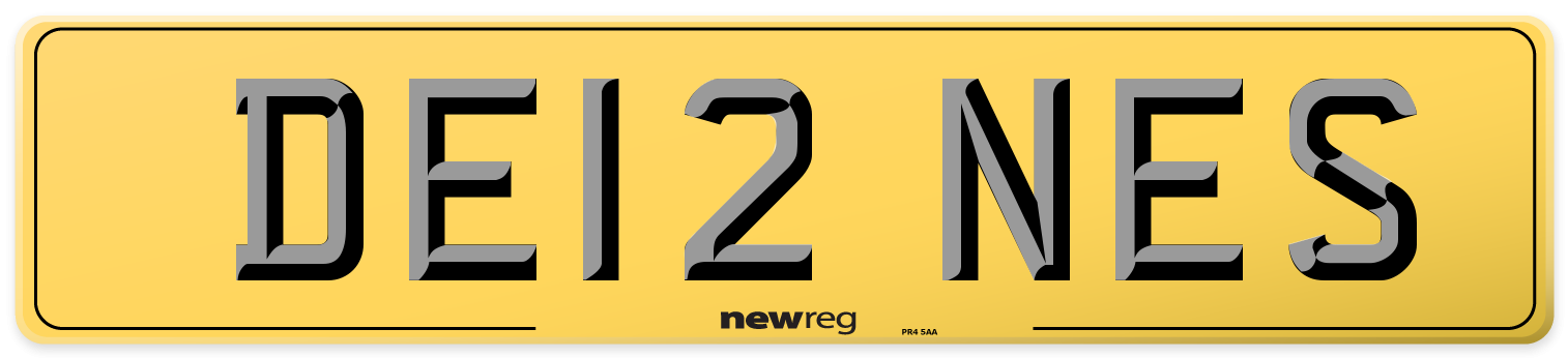DE12 NES Rear Number Plate