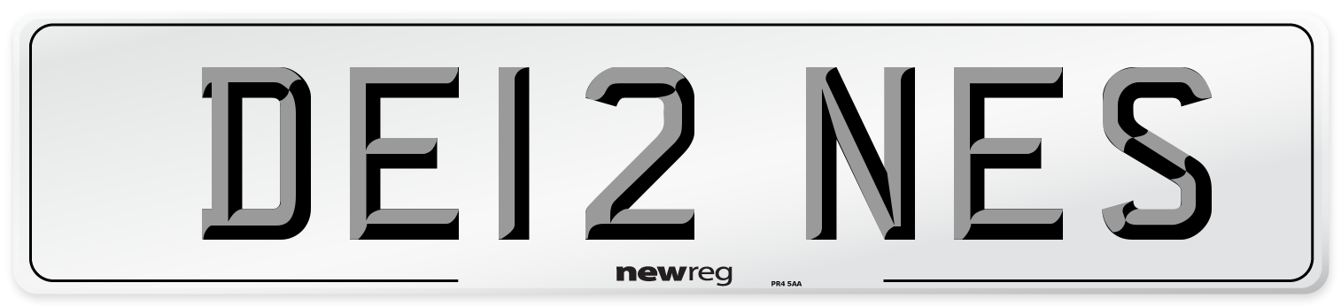 DE12 NES Front Number Plate