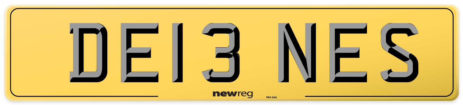 DE13 NES Rear Number Plate