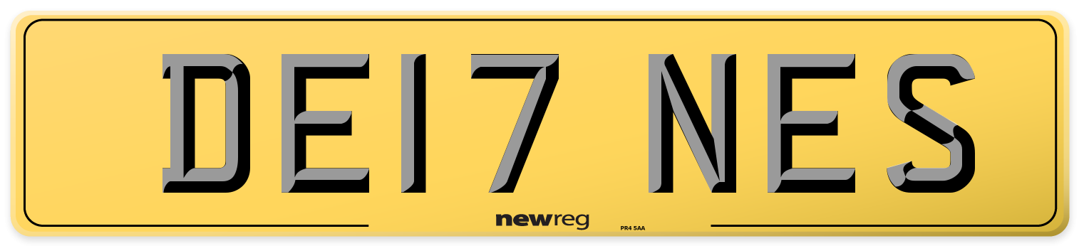DE17 NES Rear Number Plate