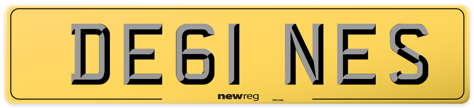 DE61 NES Rear Number Plate
