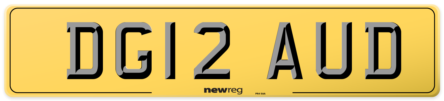 DG12 AUD Rear Number Plate