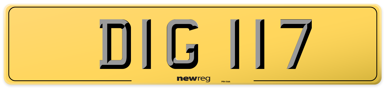 DIG 117 Rear Number Plate
