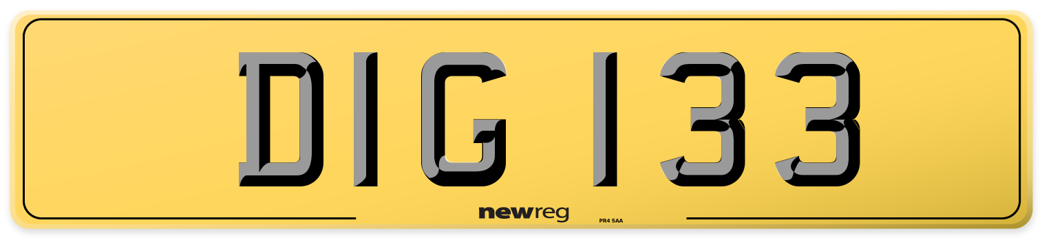 DIG 133 Rear Number Plate