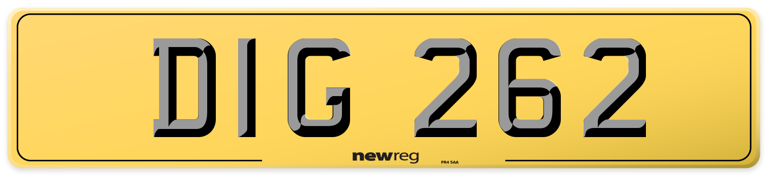 DIG 262 Rear Number Plate