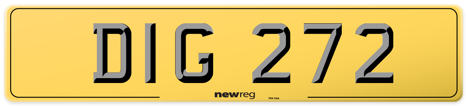 DIG 272 Rear Number Plate