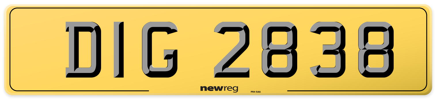 DIG 2838 Rear Number Plate