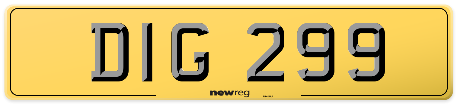 DIG 299 Rear Number Plate