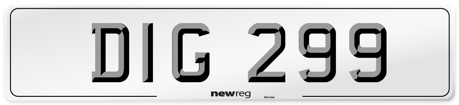 DIG 299 Front Number Plate