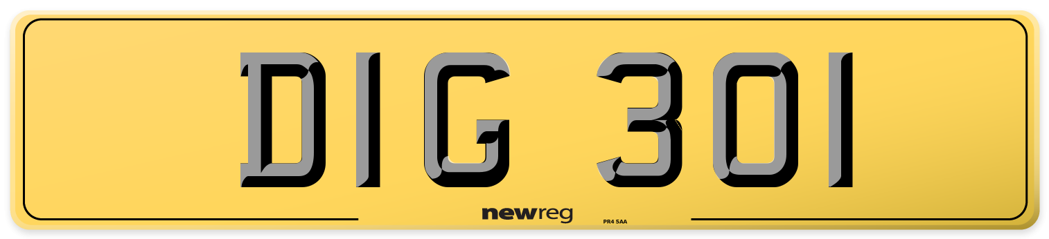 DIG 301 Rear Number Plate