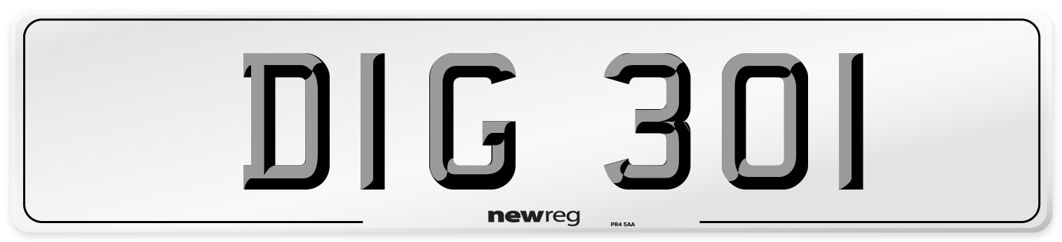 DIG 301 Front Number Plate