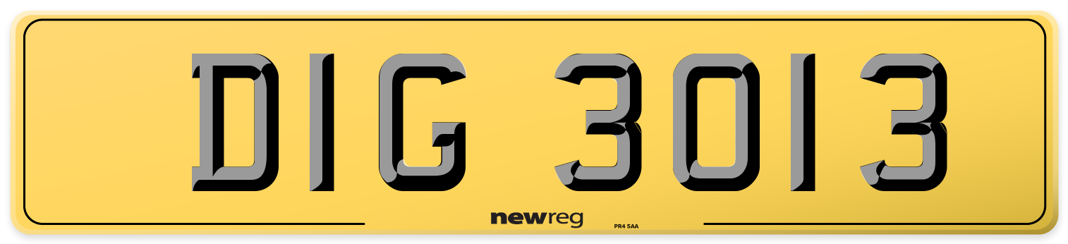 DIG 3013 Rear Number Plate