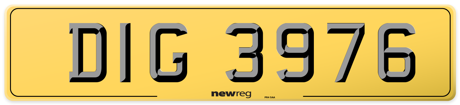 DIG 3976 Rear Number Plate