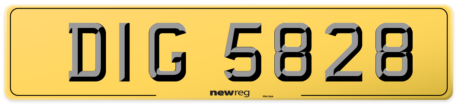 DIG 5828 Rear Number Plate