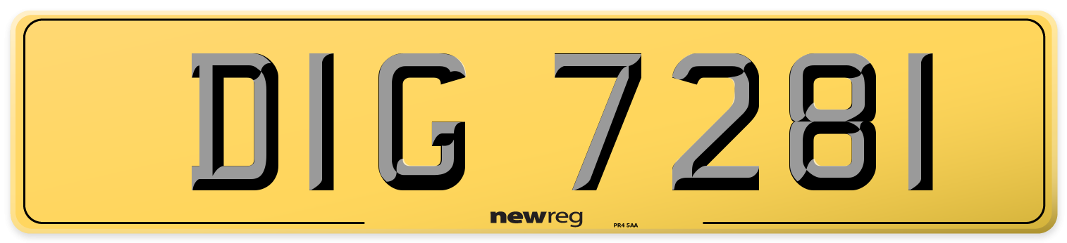 DIG 7281 Rear Number Plate