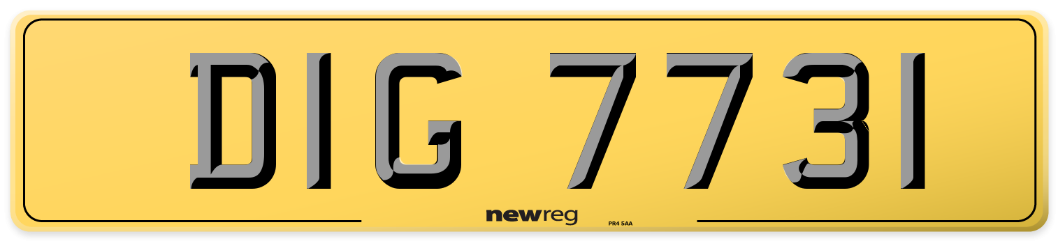 DIG 7731 Rear Number Plate
