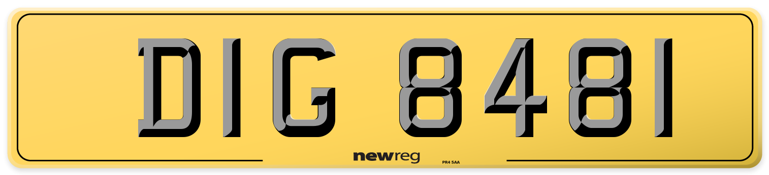 DIG 8481 Rear Number Plate