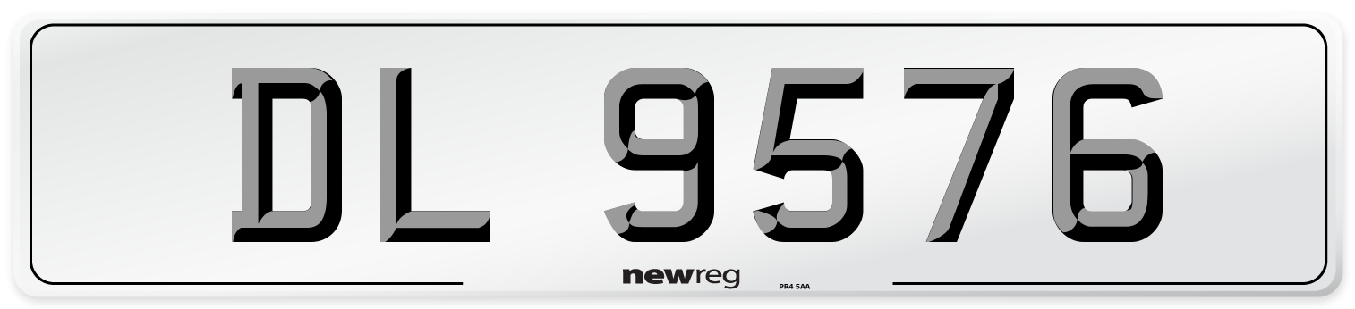 DL 9576 Front Number Plate