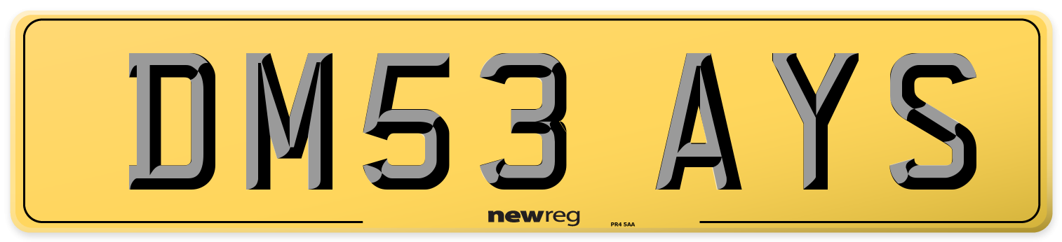 DM53 AYS Rear Number Plate