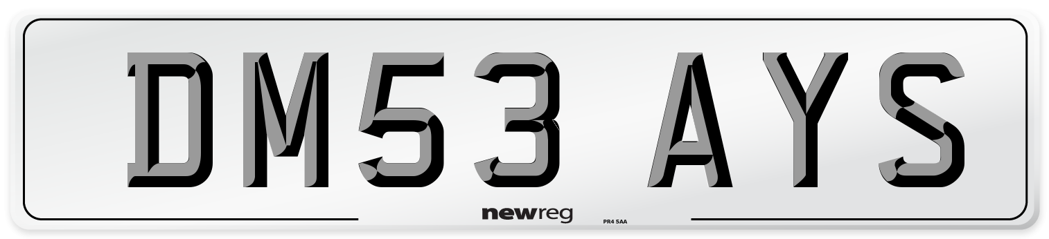 DM53 AYS Front Number Plate