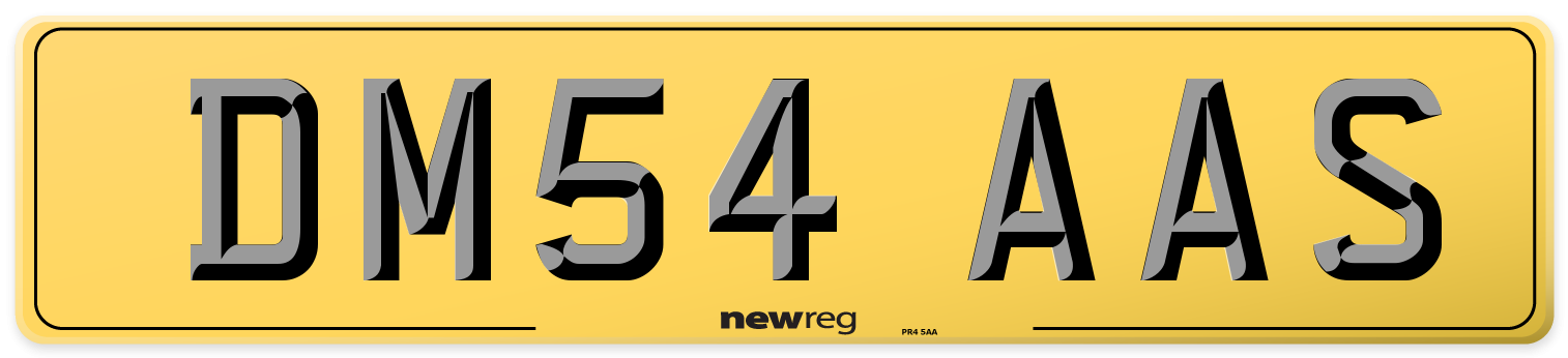 DM54 AAS Rear Number Plate