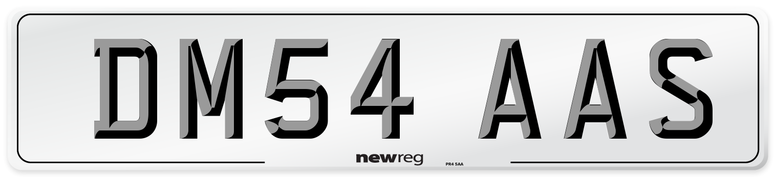 DM54 AAS Front Number Plate