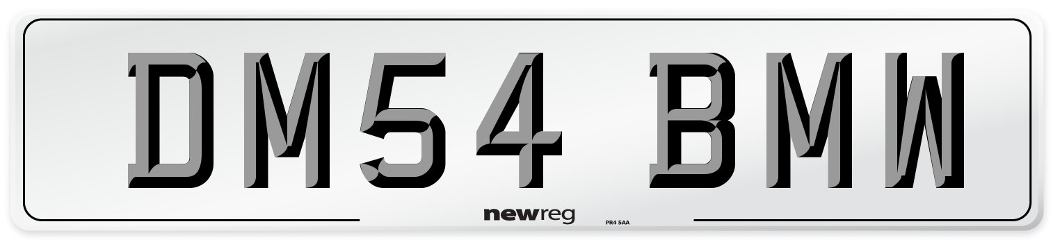 DM54 BMW Front Number Plate