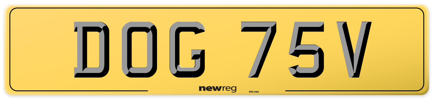 DOG 75V Rear Number Plate