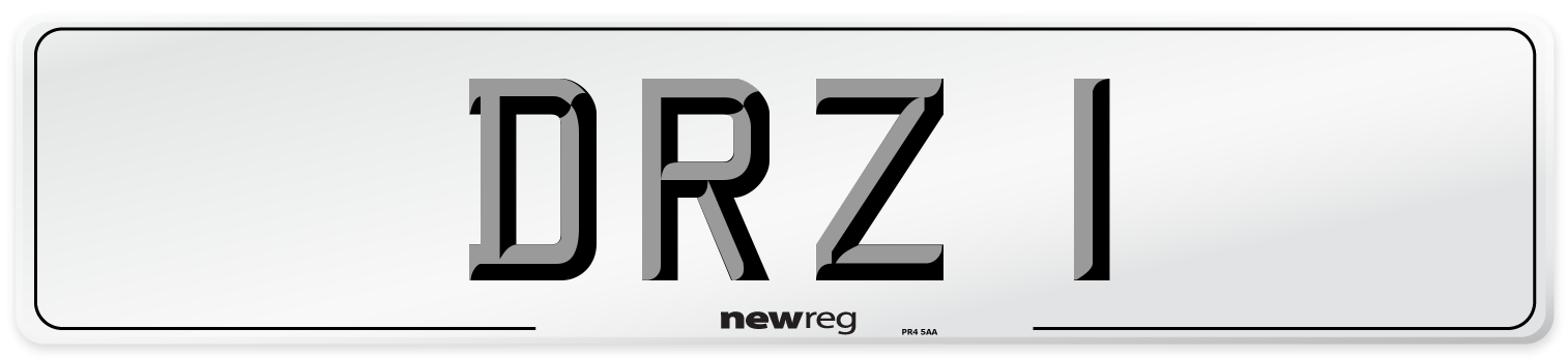 DRZ 1 Front Number Plate