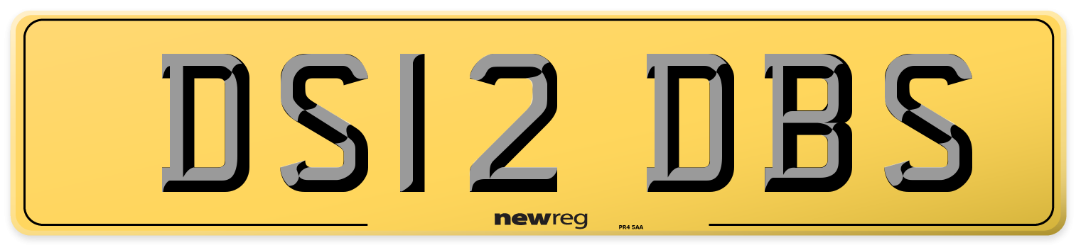DS12 DBS Rear Number Plate